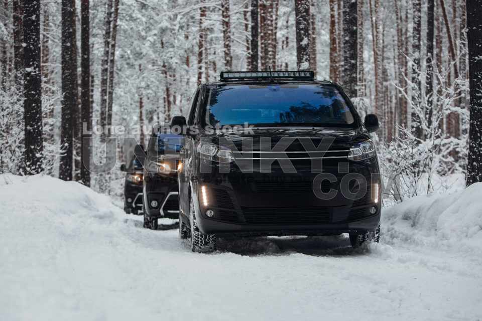 A Group of vans goes expedition at the snow forest