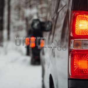 A Group of vans goes expedition at the snow forest