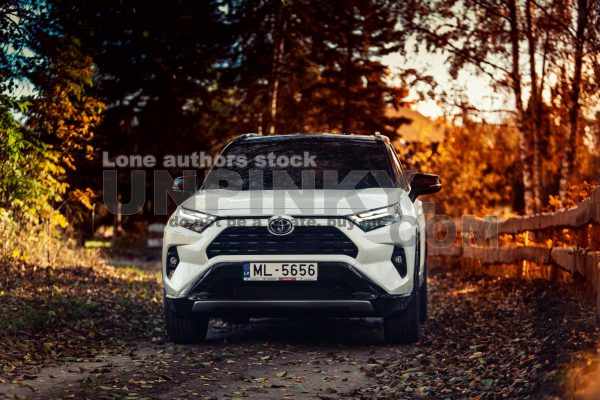 Toyota Rav4 at the forest