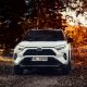 Toyota Rav4 hybrid  at the forest | Editorial