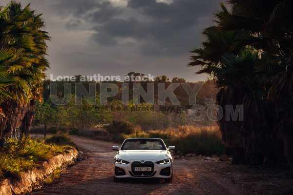 BMW 430I convertible between palms | Editorial