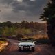 BMW 430I convertible between palms | Editorial