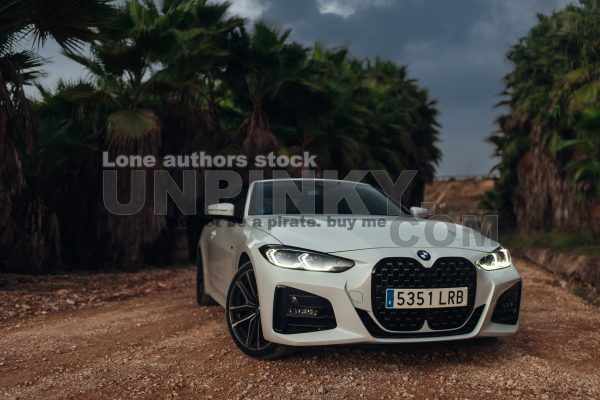 BMW 430I convertible between palms | Editorial
