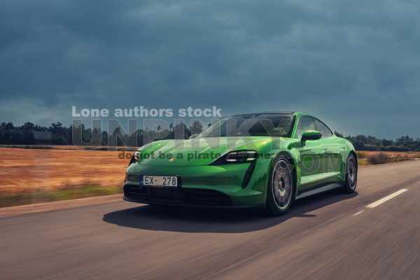Porsche Taycan 4S Mamba Green in the motion