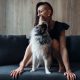 An attractive woman with a sheltie dog is playing on the sofa. Young lady with her pet at home
