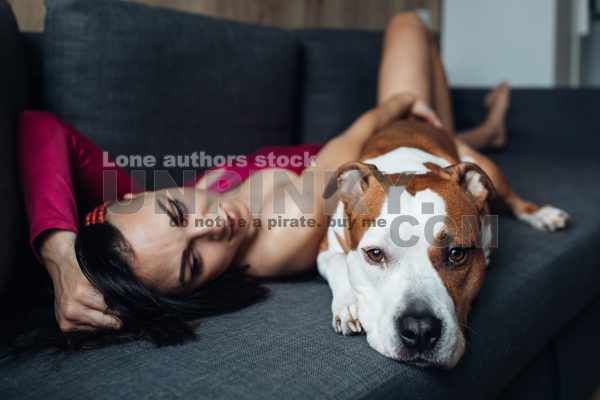 An attractive woman with long hair playing with an amstaff dog on the sofa. Young lady with a dog