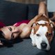 An attractive woman with long hair playing with an amstaff dog on the sofa. Young lady with a dog