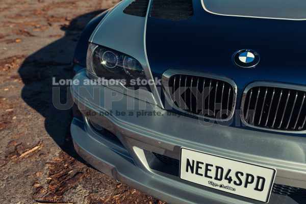 BMW M3 E46 GTR Most Wanted game replica