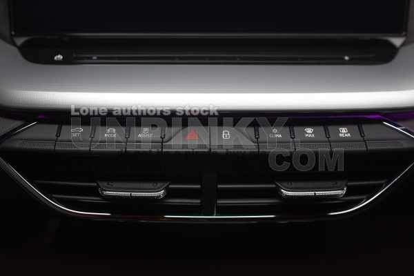 Car control panel buttons inside