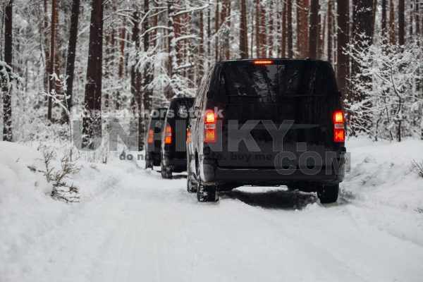 group_of_vans_at_the_winter_forest