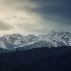 Mountain peaks and forest covered with snow