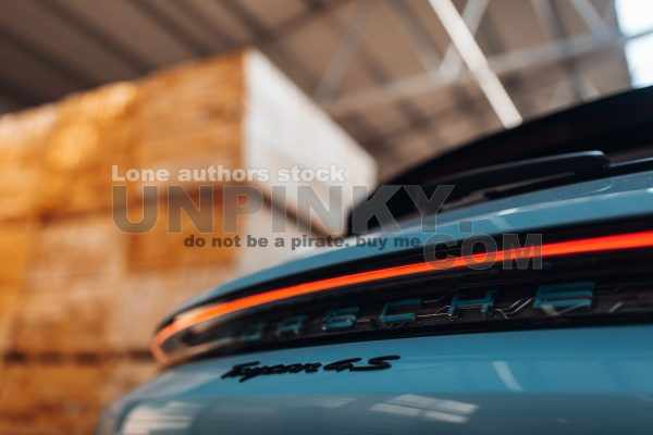 Porsche Taycan Turbo S Cross Turismo at the wood factory