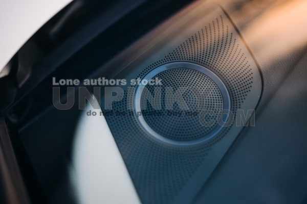 round_speaker_inside_car