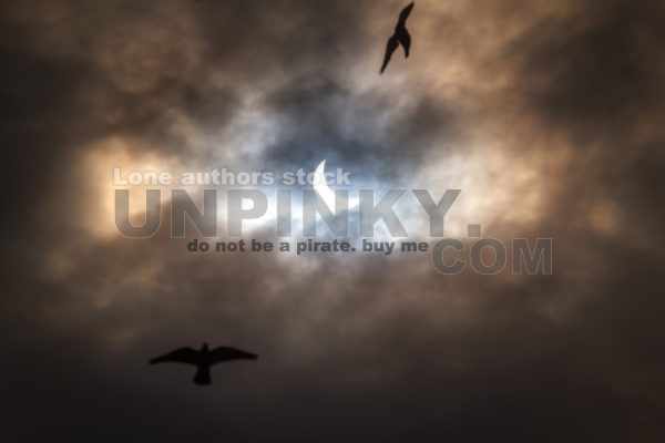 Crows circle around the new moon in front of heavy clouds