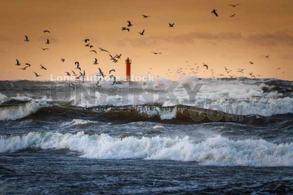 Big storm with huge waves and gulls behind lighthouse